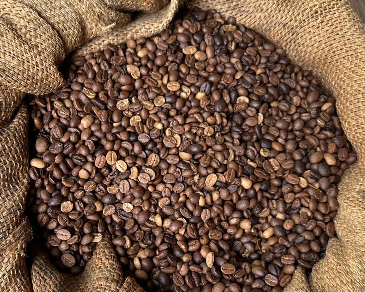 coffee beans 