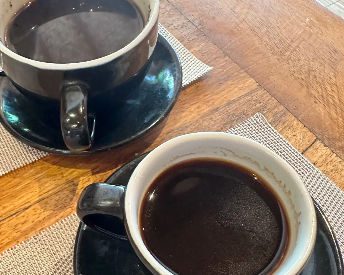 two coffee cups