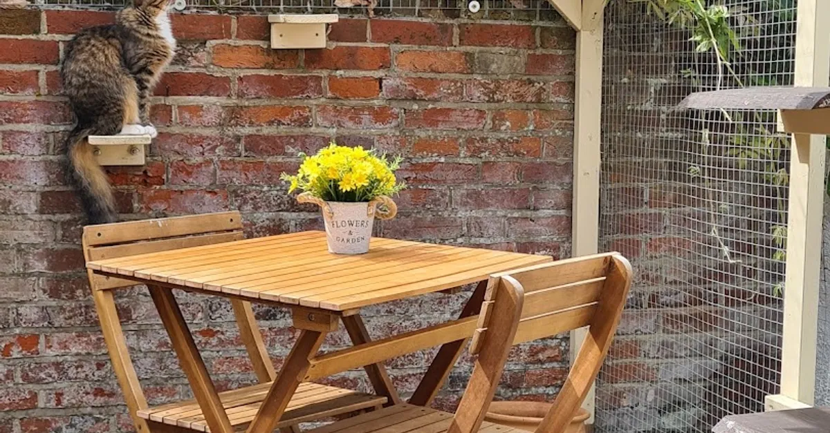 Costa Coffee (Romsey)