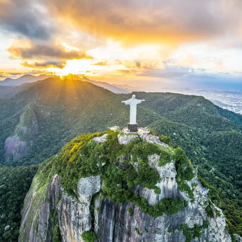 Brazil Peaberry Coffee Whole Bean
