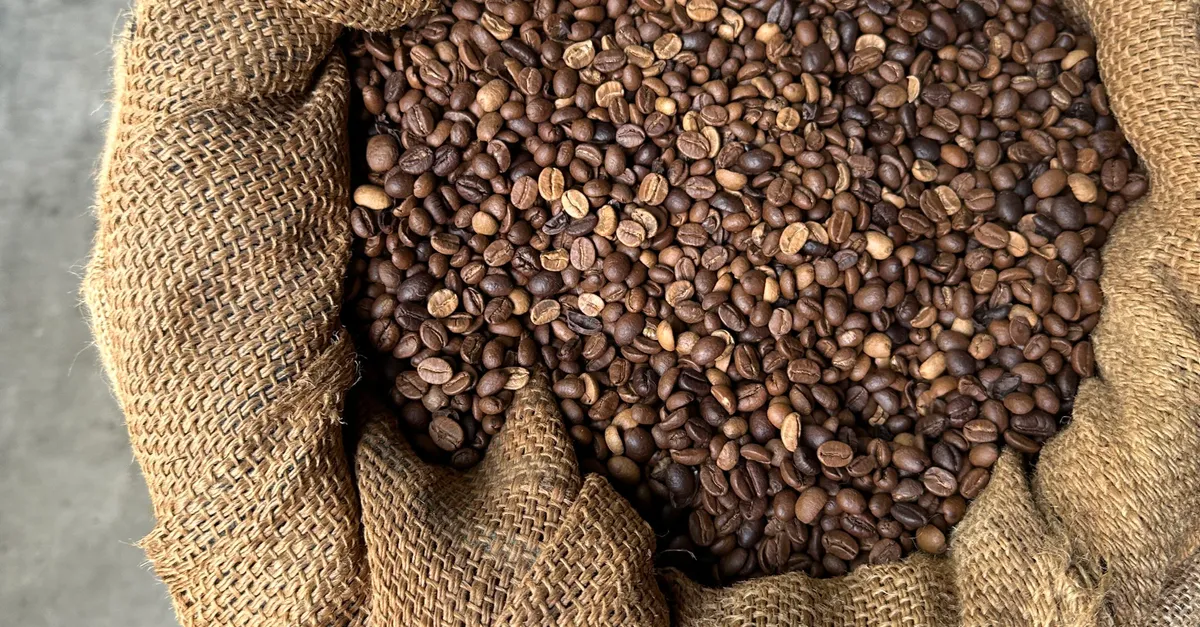 Issue 6: Coffee Around the World