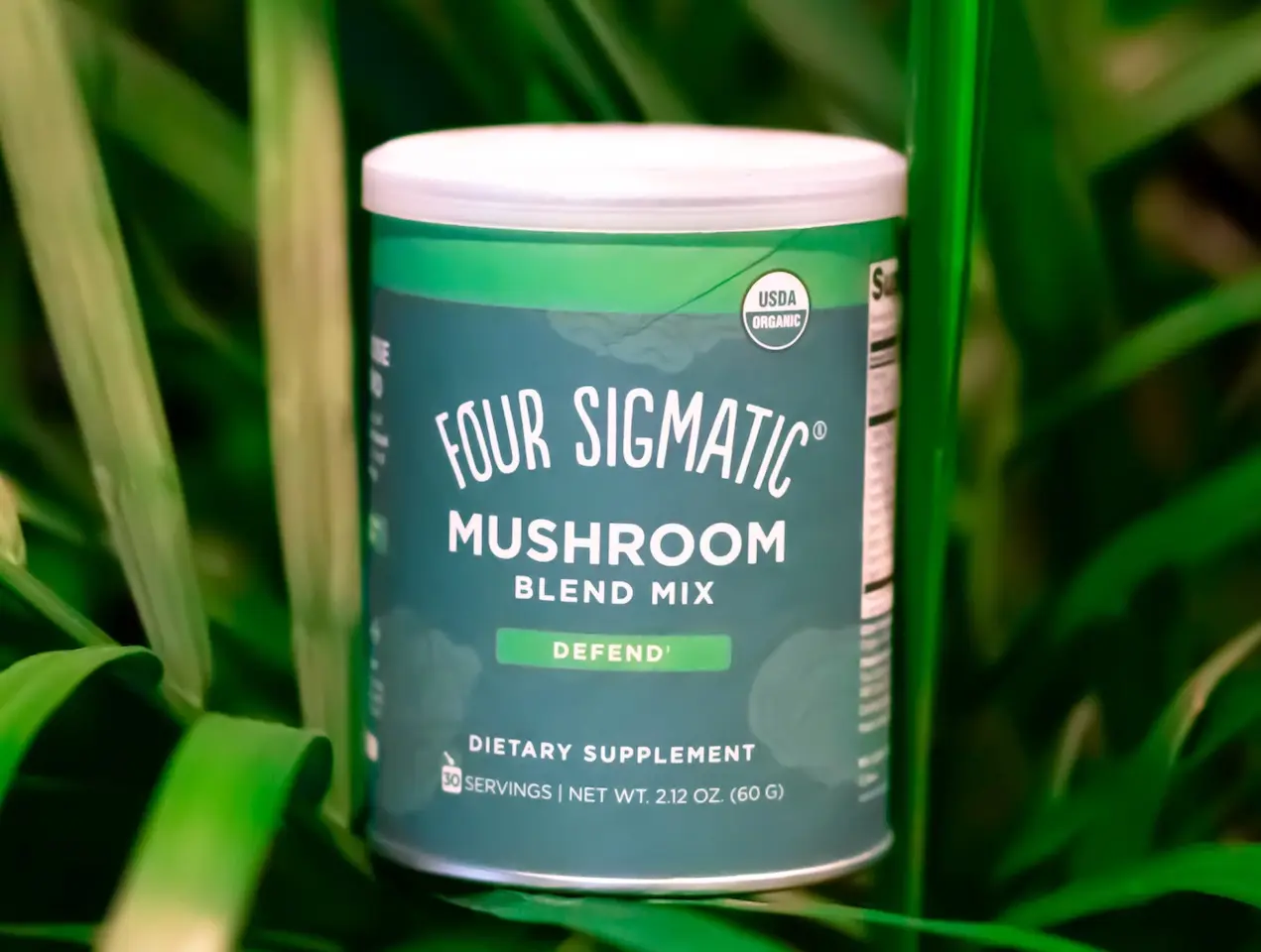 Mushroom Powder Box