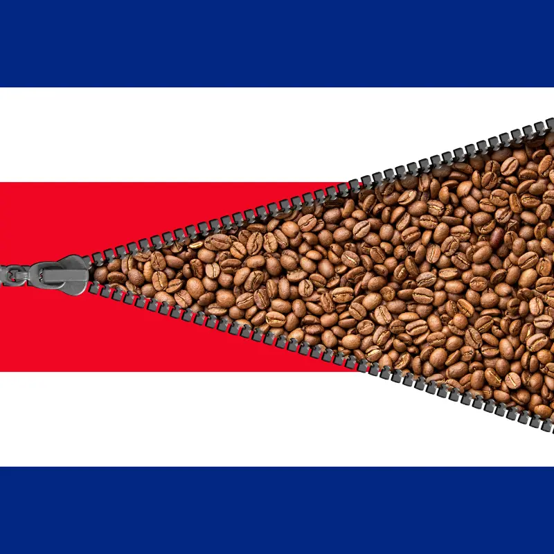Flag of Costa Rica with coffee beans 