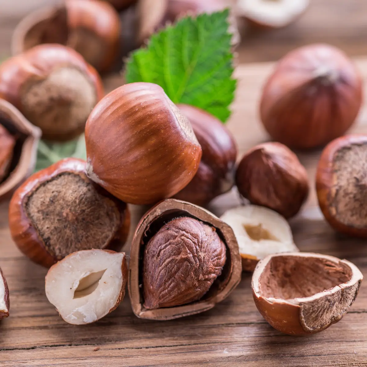 Hazelnuts on a table