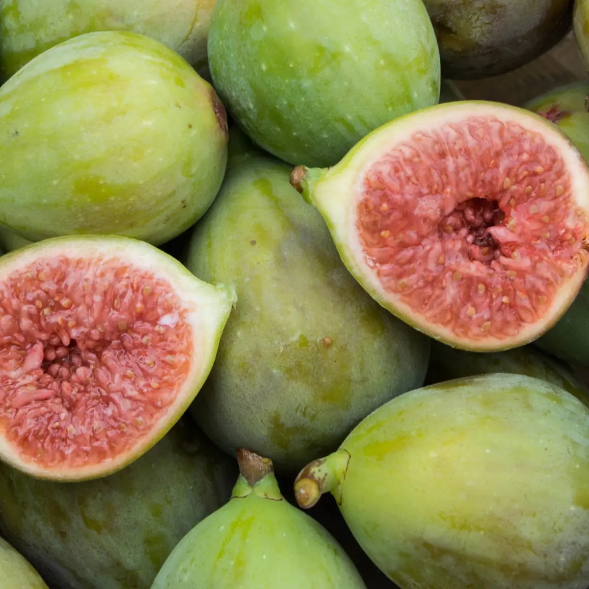 Figs 