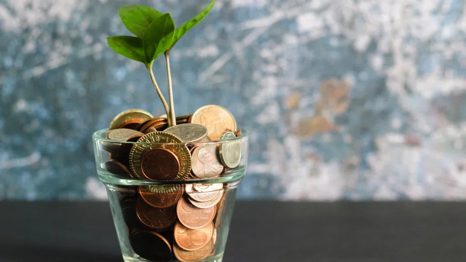 plant growing into a cup filled with coins